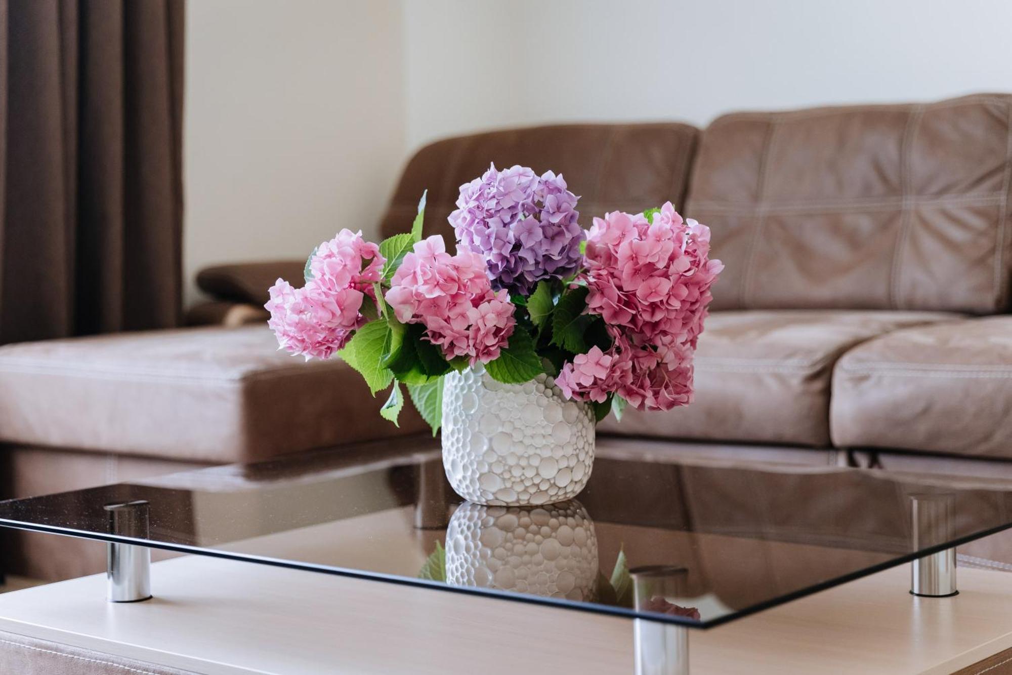 Family House Apartment Виниця Екстериор снимка